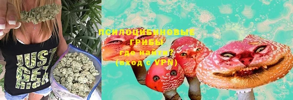 мяу мяу мука Алзамай