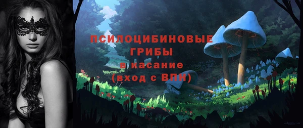 PSILOCYBIN Алексин